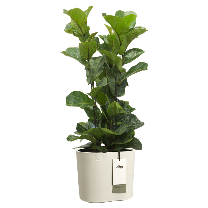 eden 25cm linnen wit